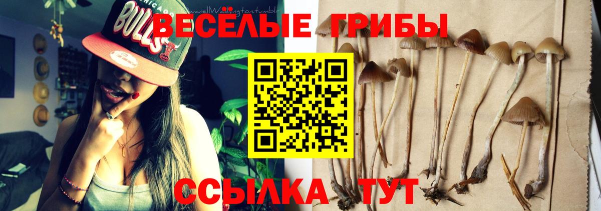 купить наркотики сайты  Вход с VPN  Ангарск  Галлюциногенные грибы прущие грибы 